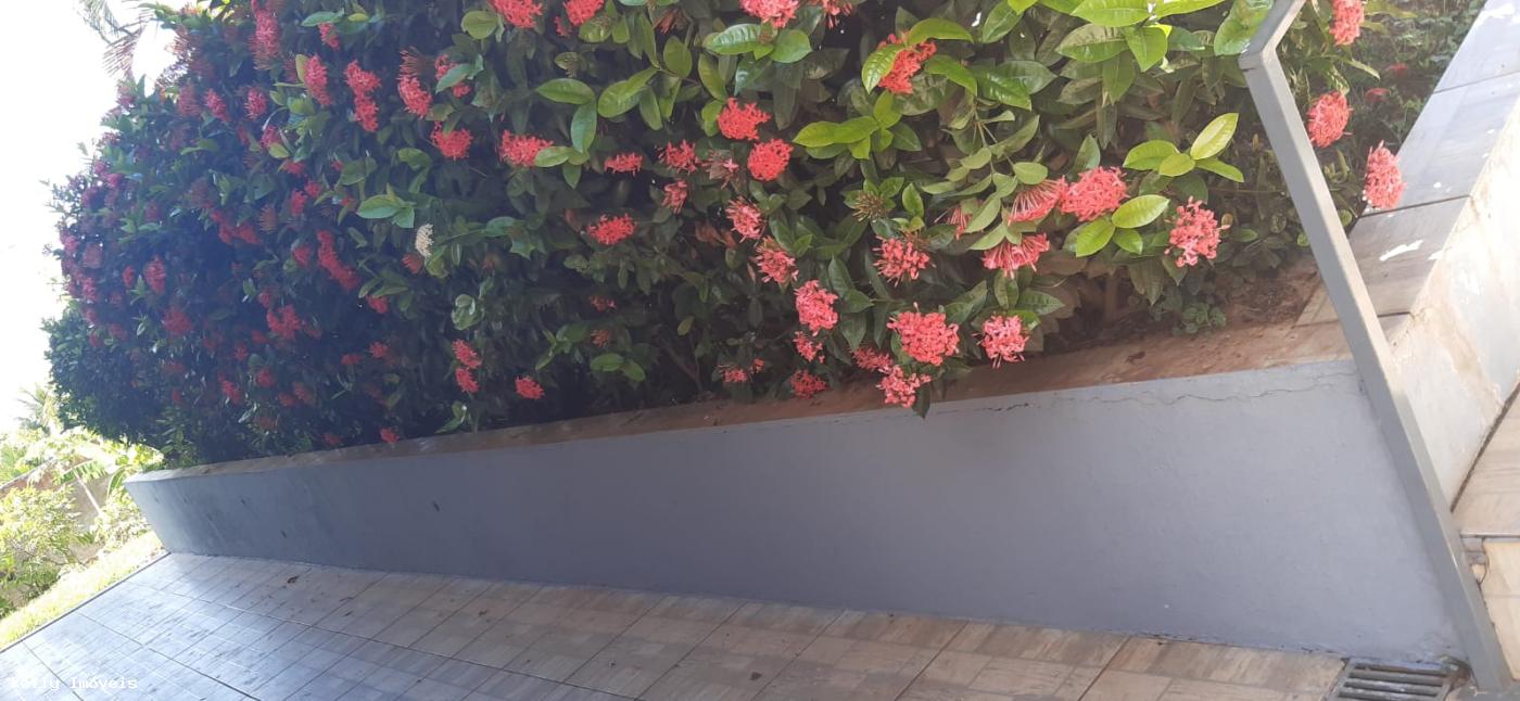 Chácara à venda com 2 quartos, 4500m² - Foto 47
