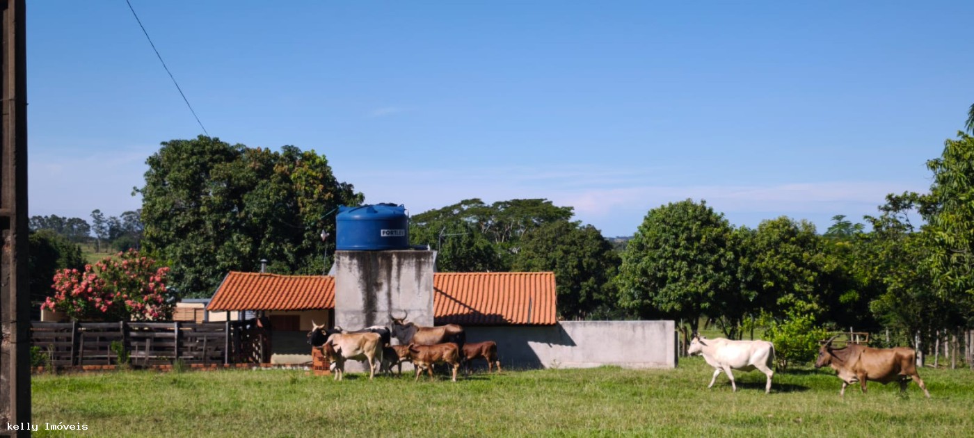 Chácara à venda com 1 quarto, 50000m² - Foto 7