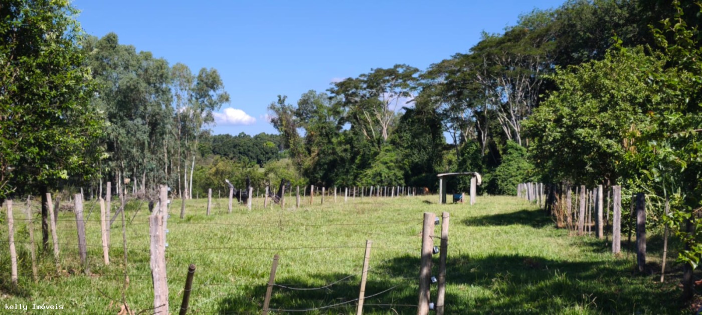 Chácara à venda com 1 quarto, 50000m² - Foto 13