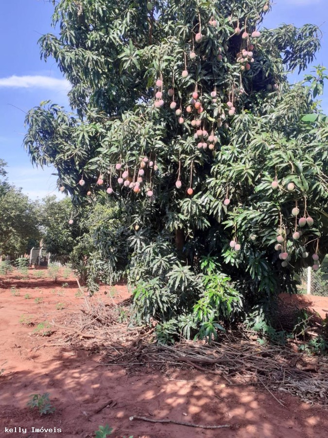 Chácara, 1050 m² - Foto 7