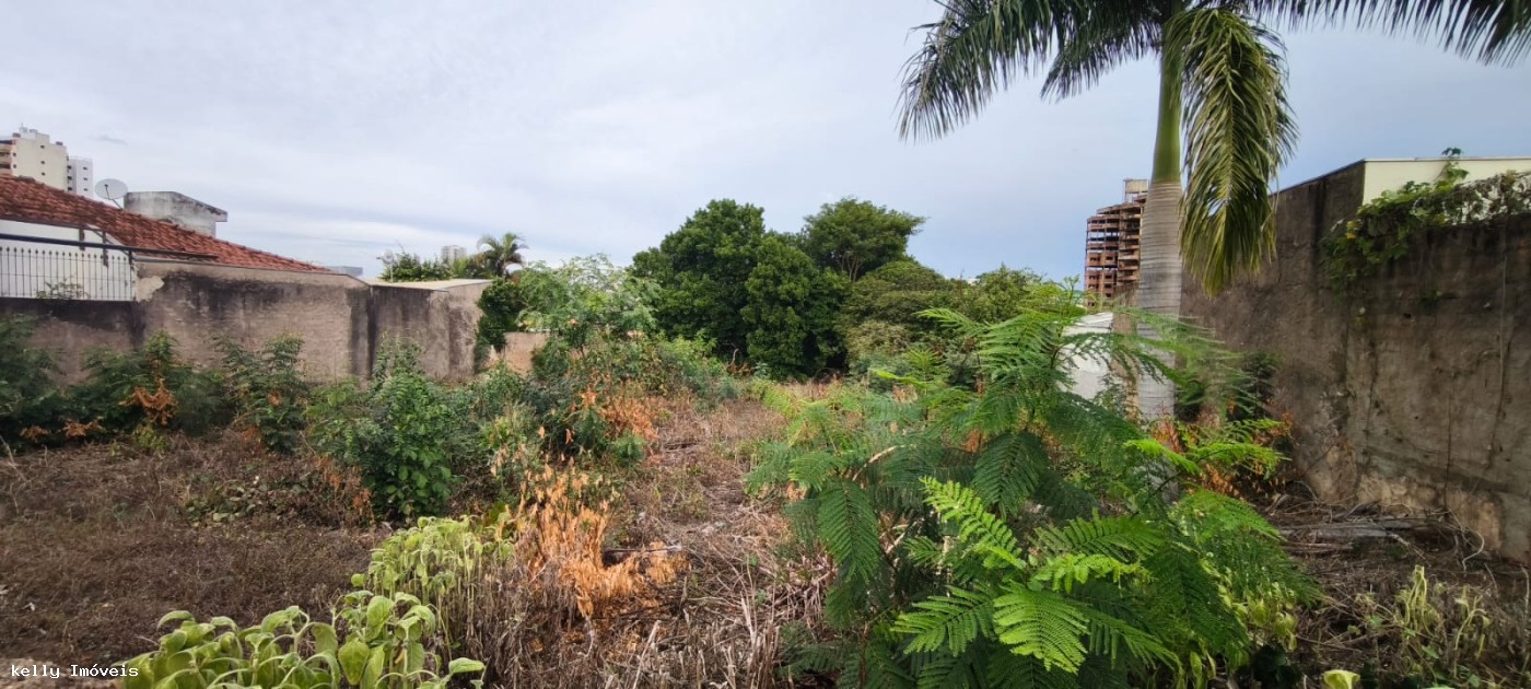 Terreno, 968 m² - Foto 3