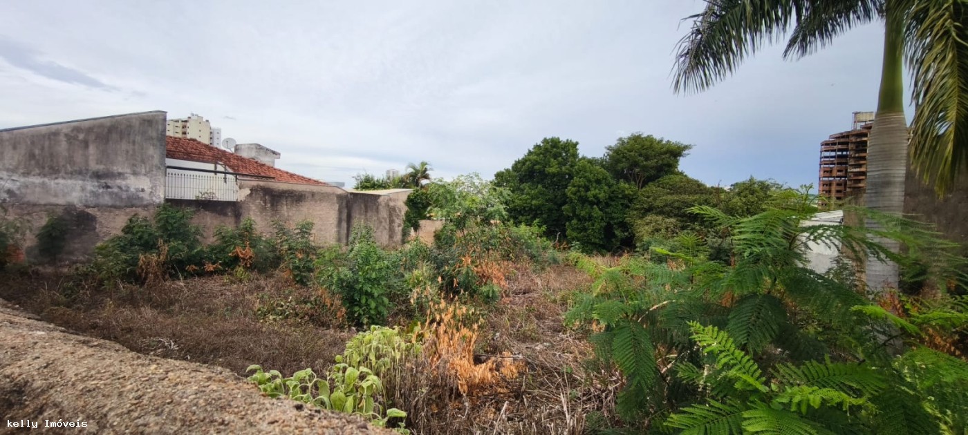 Terreno, 968 m² - Foto 5