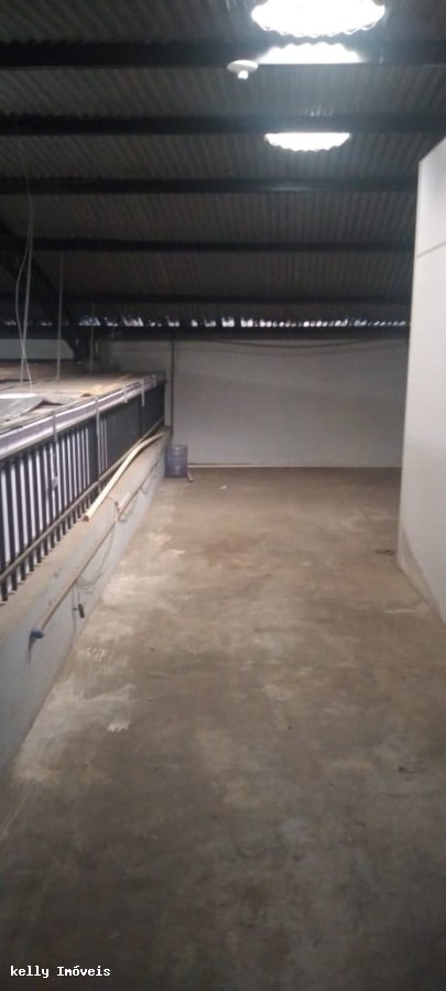 Conjunto Comercial-Sala para alugar, 390m² - Foto 8