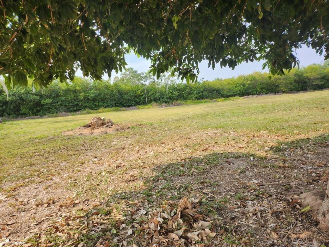 Terreno, 1000 m² - Foto 19