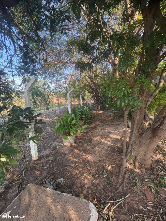 Chácara, 1 quarto, 1000 m² - Foto 5