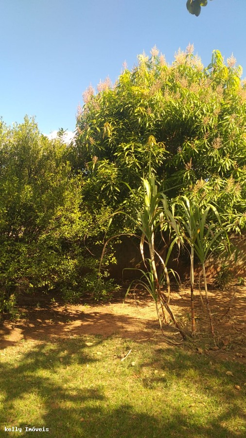 Chácara, 2 quartos, 3000 m² - Foto 18