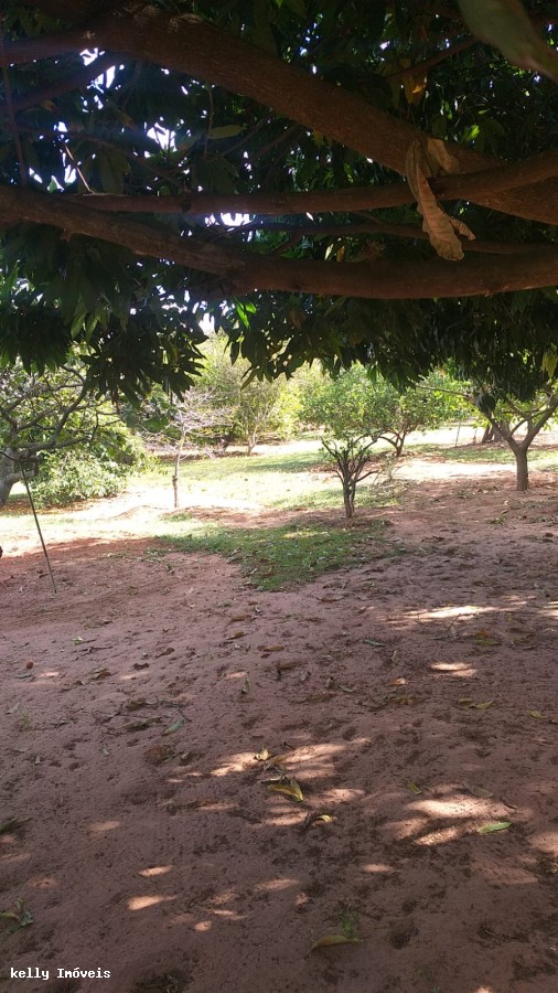 Chácara, 2 quartos, 3000 m² - Foto 19