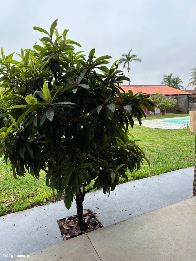 Chácara, 2 quartos, 1018 m² - Foto 37