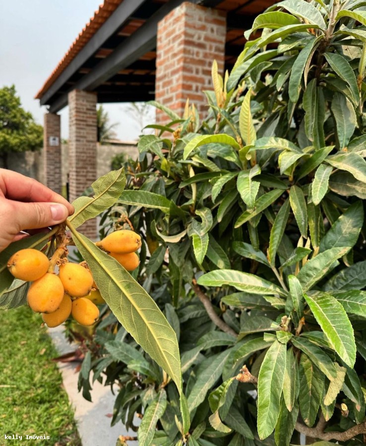 Chácara, 2 quartos, 1018 m² - Foto 39