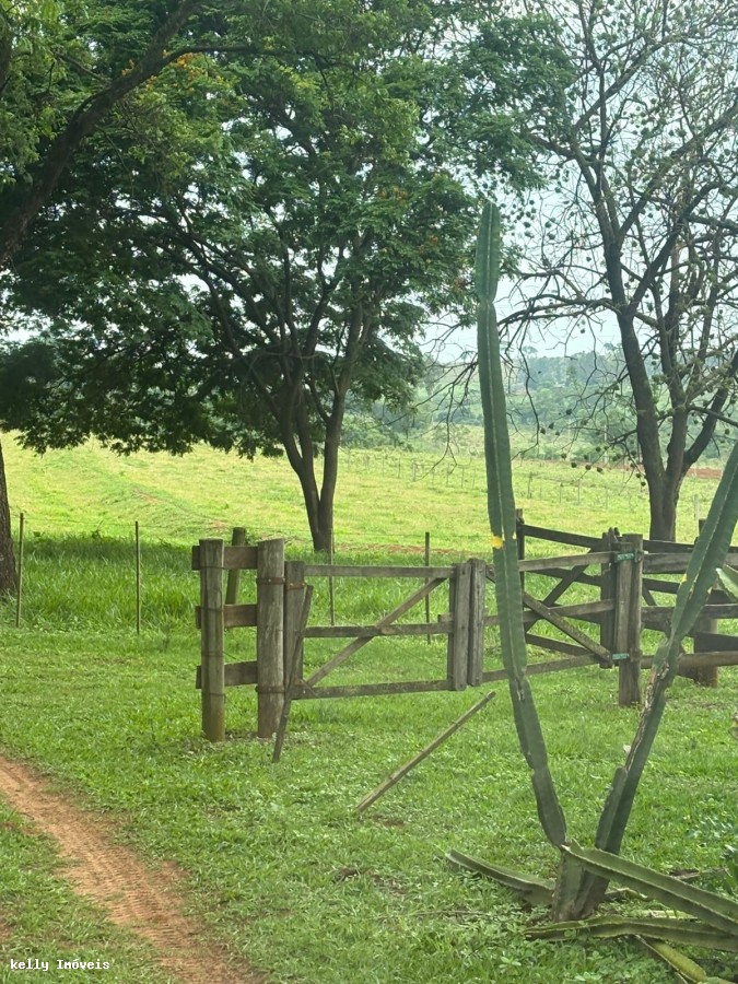 Chácara, 3 quartos, 5 hectares - Foto 1