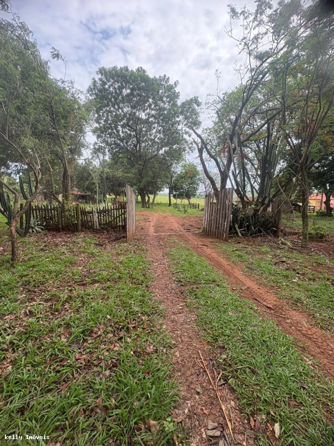 Chácara, 3 quartos, 5 hectares - Foto 4