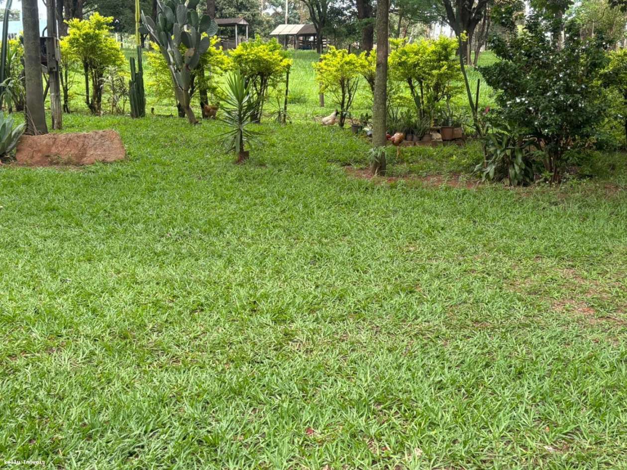 Chácara, 3 quartos, 5 hectares - Foto 5