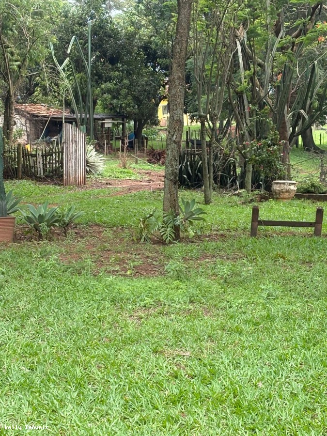 Chácara, 3 quartos, 5 hectares - Foto 7