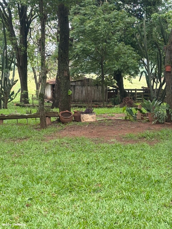 Chácara, 3 quartos, 5 hectares - Foto 10