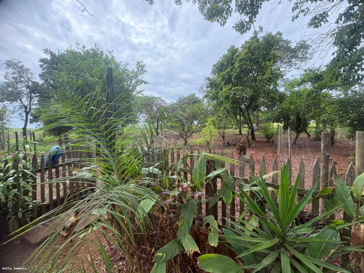Chácara, 3 quartos, 5 hectares - Foto 23