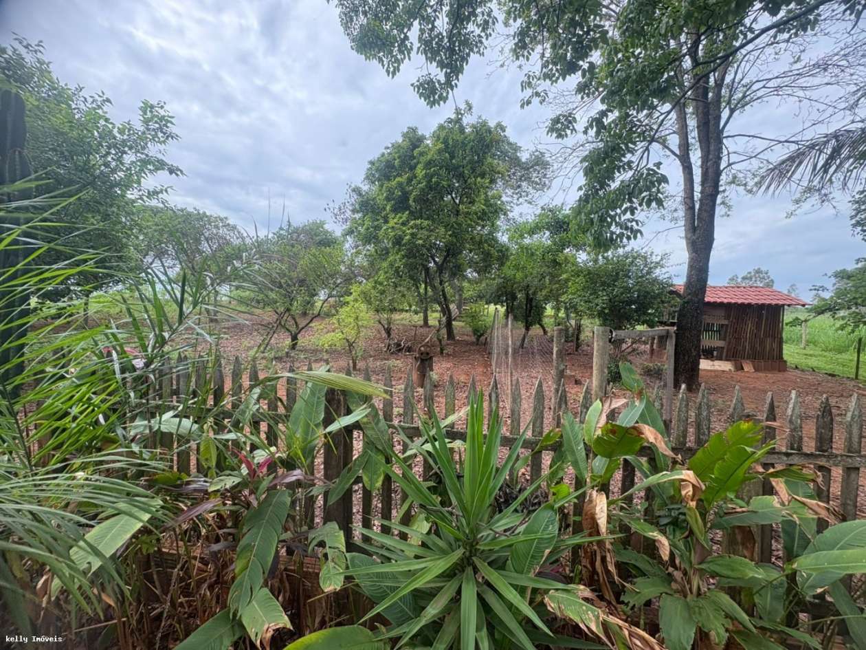 Chácara, 3 quartos, 5 hectares - Foto 24