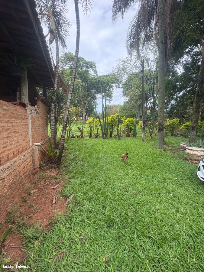 Chácara, 3 quartos, 5 hectares - Foto 33