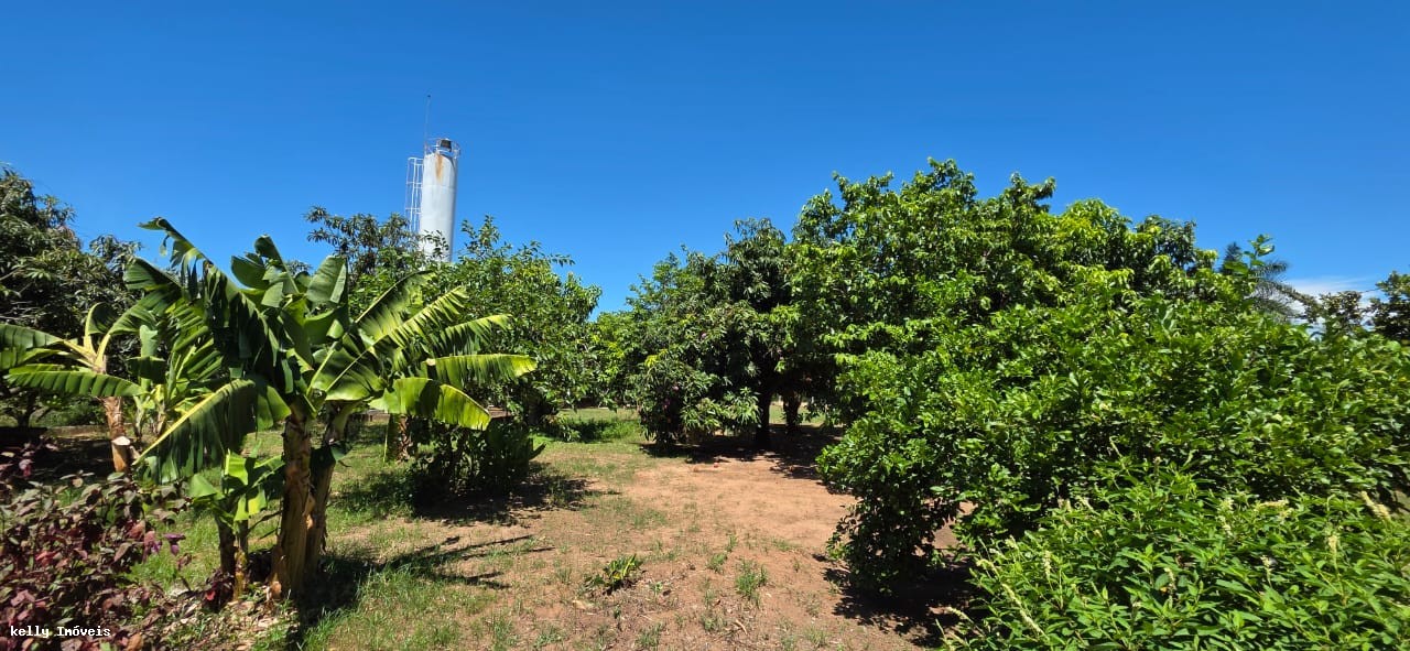 Chácara, 3 quartos, 672 m² - Foto 31