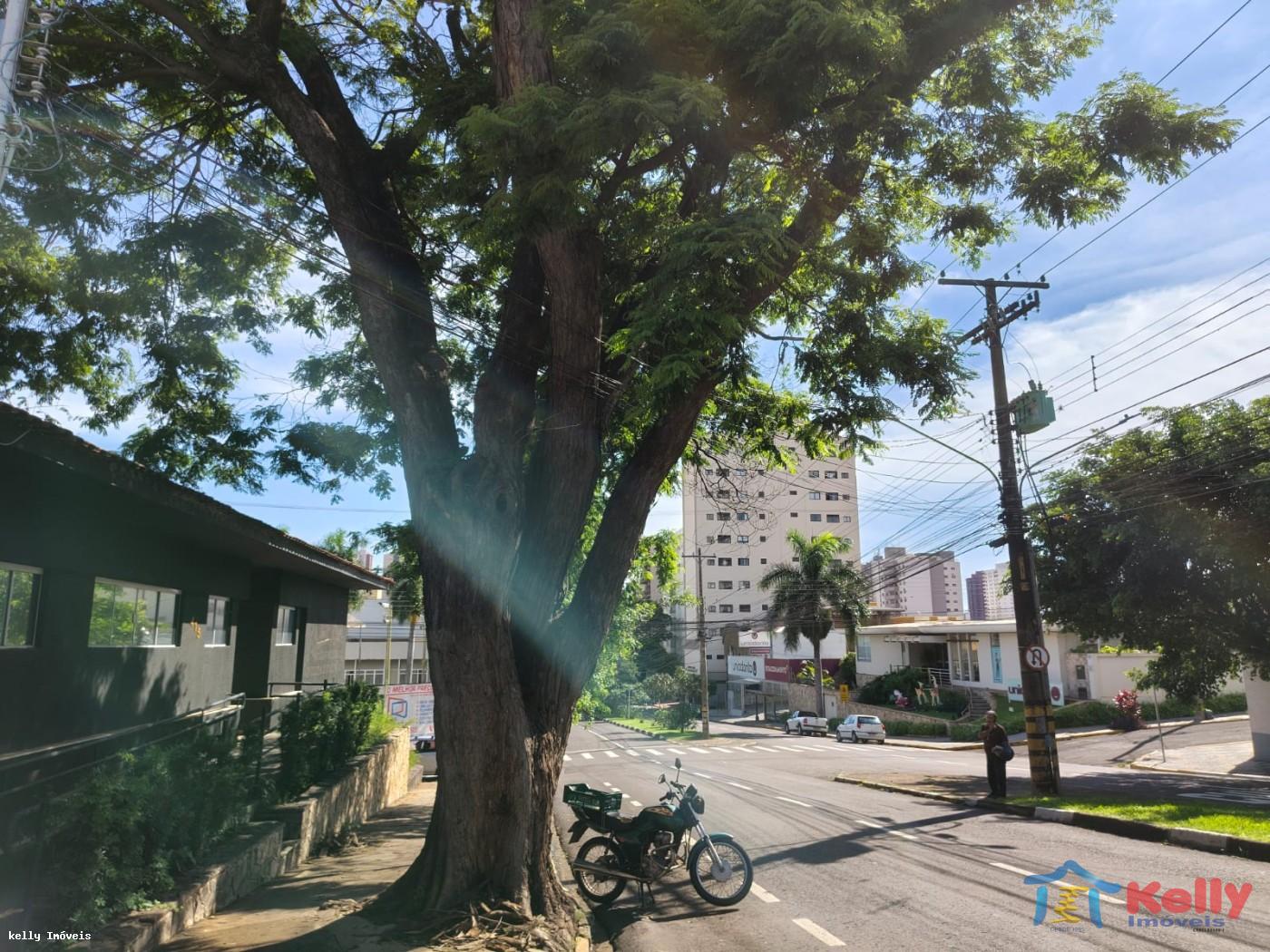 Prédio Inteiro - Foto 2