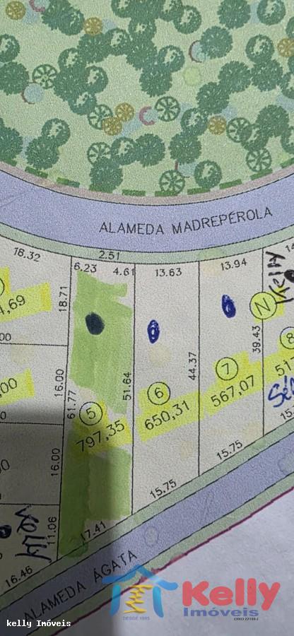 Terreno, 650 m² - Foto 6