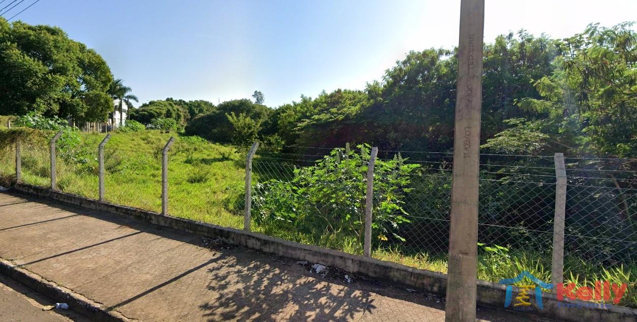 Terreno, 3 hectares - Foto 4