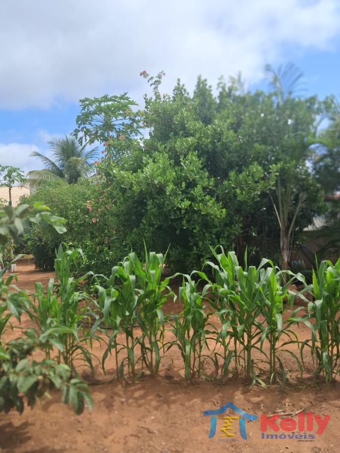 Chácara, 3 quartos, 1460 m² - Foto 19