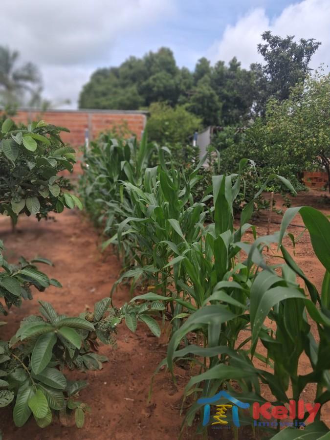 Chácara, 3 quartos, 1460 m² - Foto 18