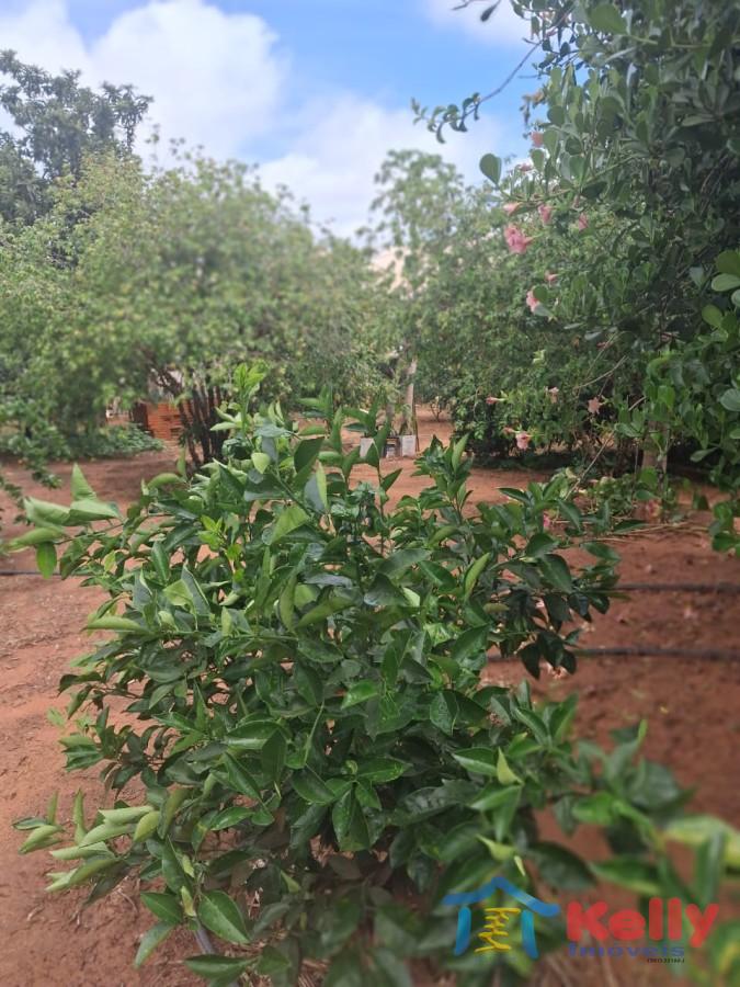 Chácara, 3 quartos, 1460 m² - Foto 20