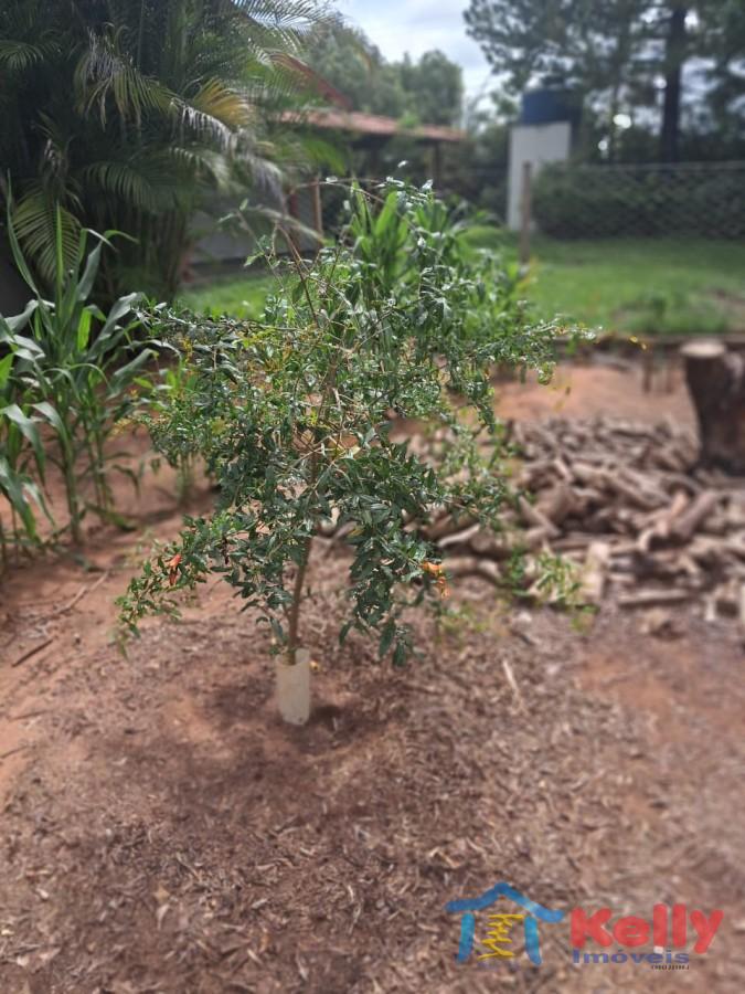 Chácara, 3 quartos, 1460 m² - Foto 22