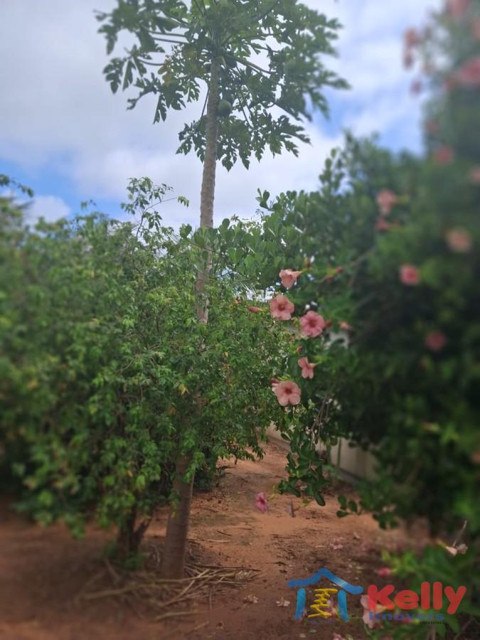 Chácara, 3 quartos, 1460 m² - Foto 23