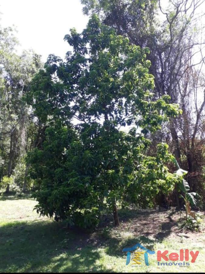 Chácara, 3 quartos, 5526 m² - Foto 7