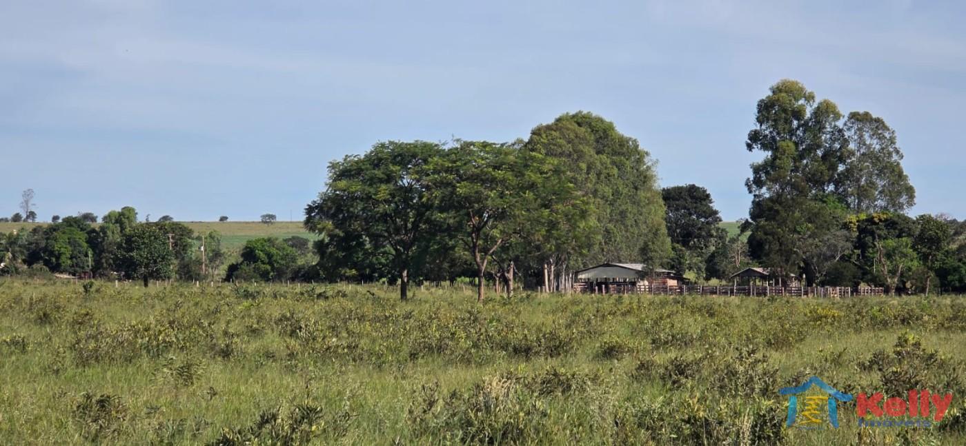 Chácara, 97 hectares - Foto 4