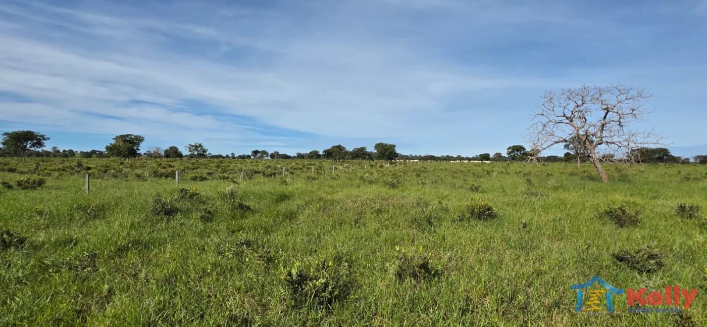 Chácara, 97 hectares - Foto 6