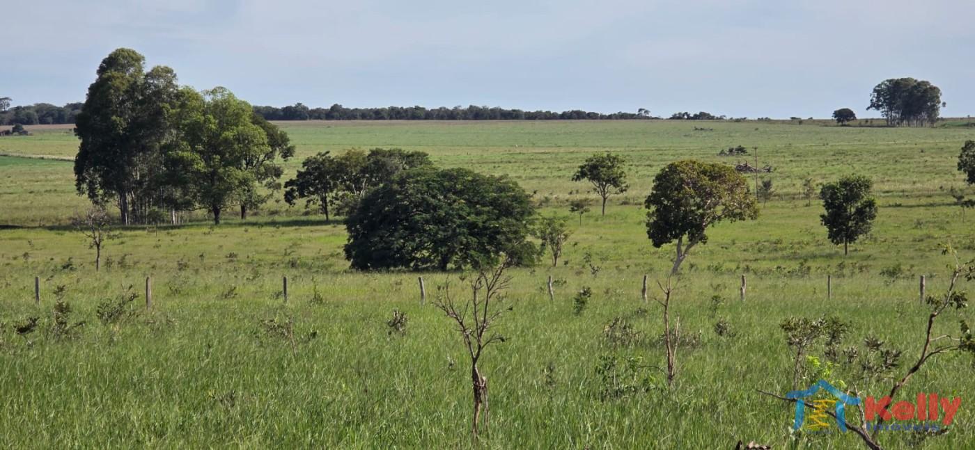 Chácara, 97 hectares - Foto 7