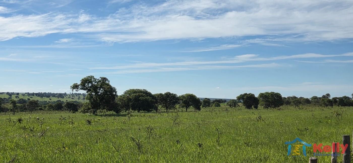 Chácara, 97 hectares - Foto 10