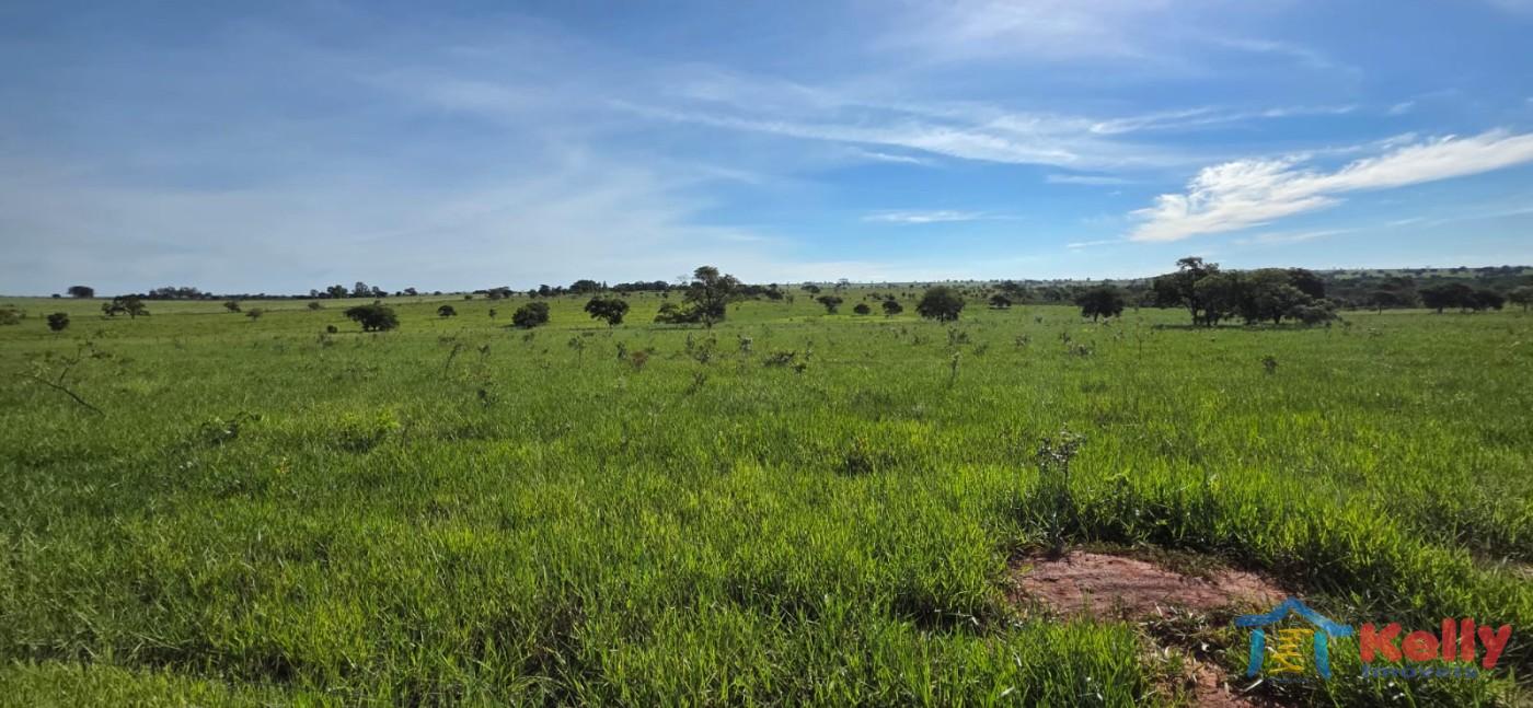 Chácara, 97 hectares - Foto 8
