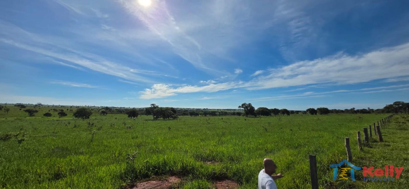 Chácara, 97 hectares - Foto 14