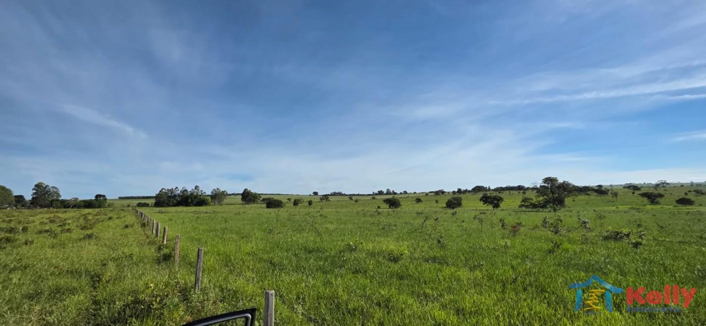 Chácara, 97 hectares - Foto 13