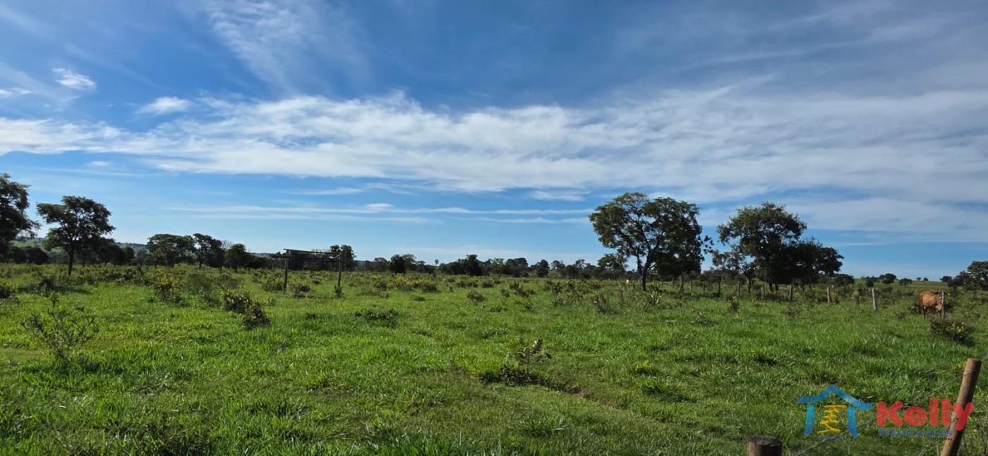 Chácara, 97 hectares - Foto 12