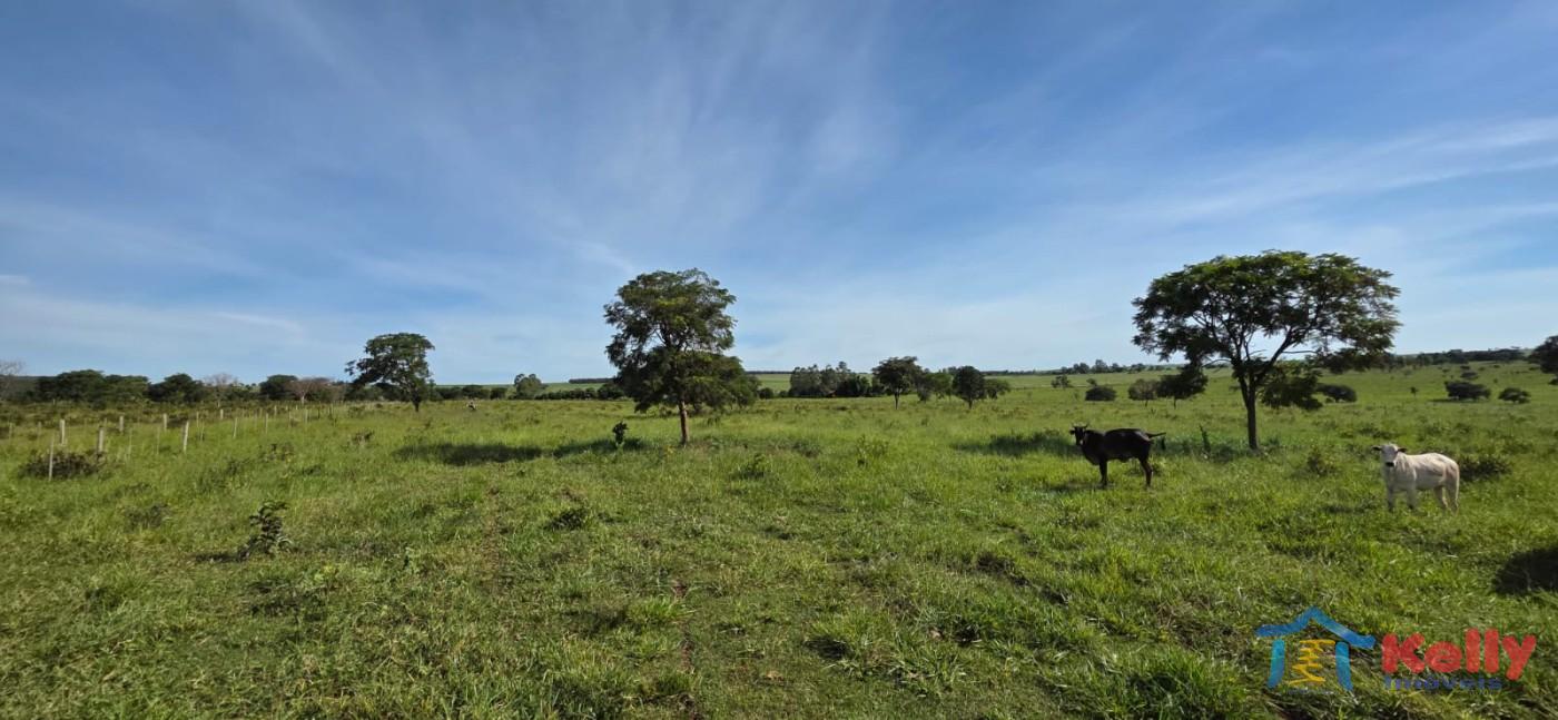 Chácara, 97 hectares - Foto 15