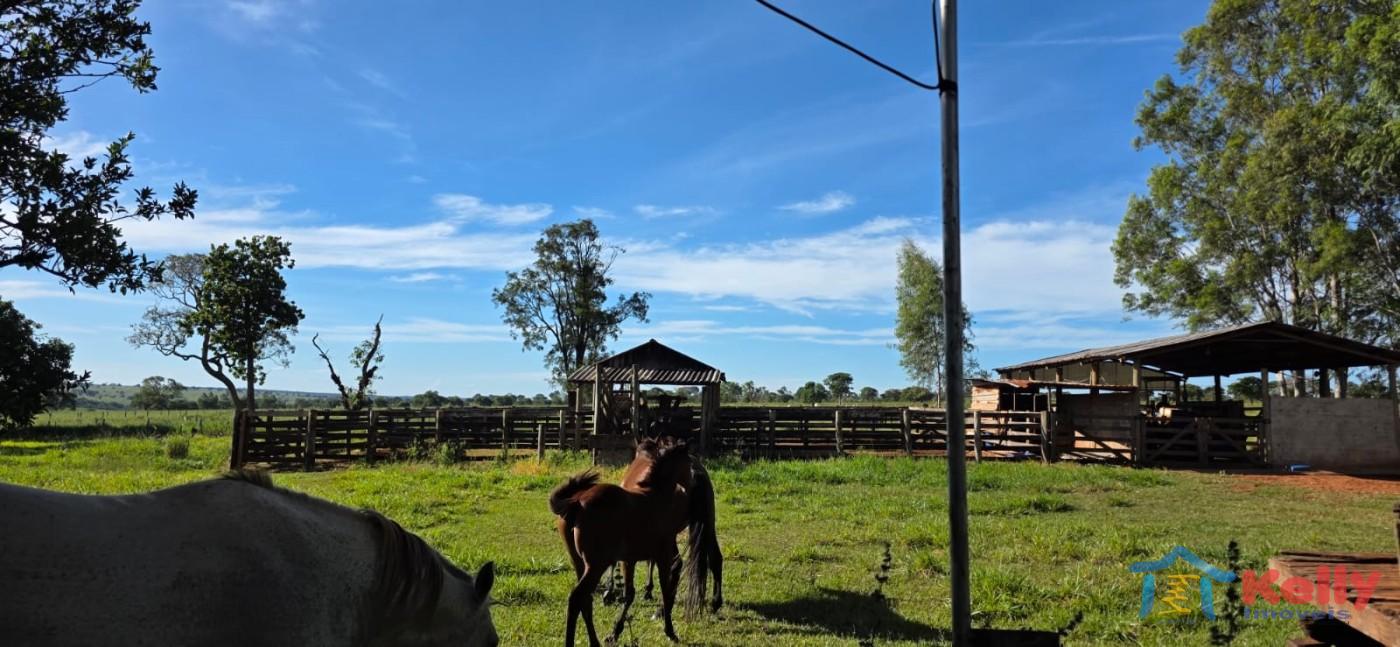 Chácara, 97 hectares - Foto 18