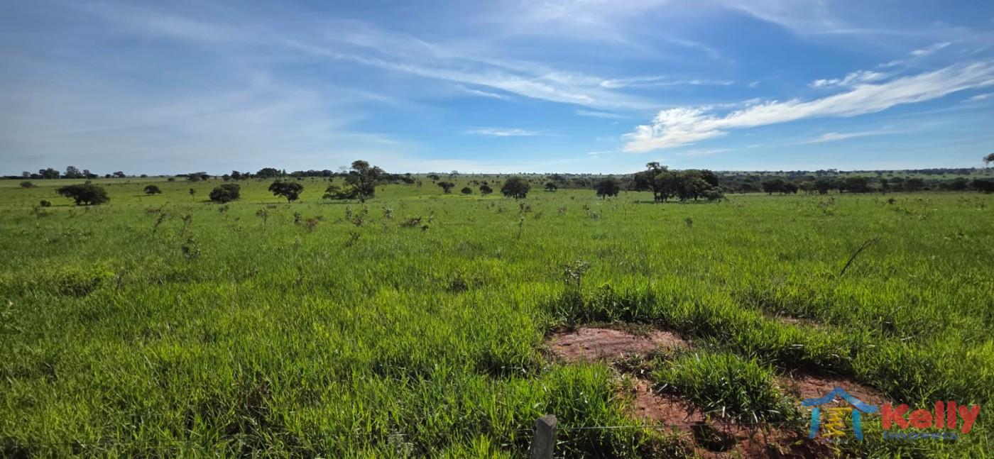 Chácara, 97 hectares - Foto 17