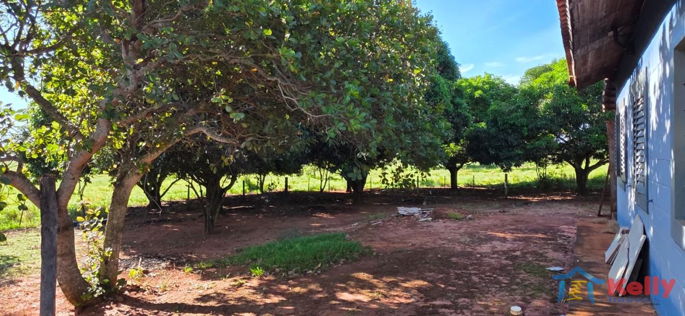 Chácara, 97 hectares - Foto 20