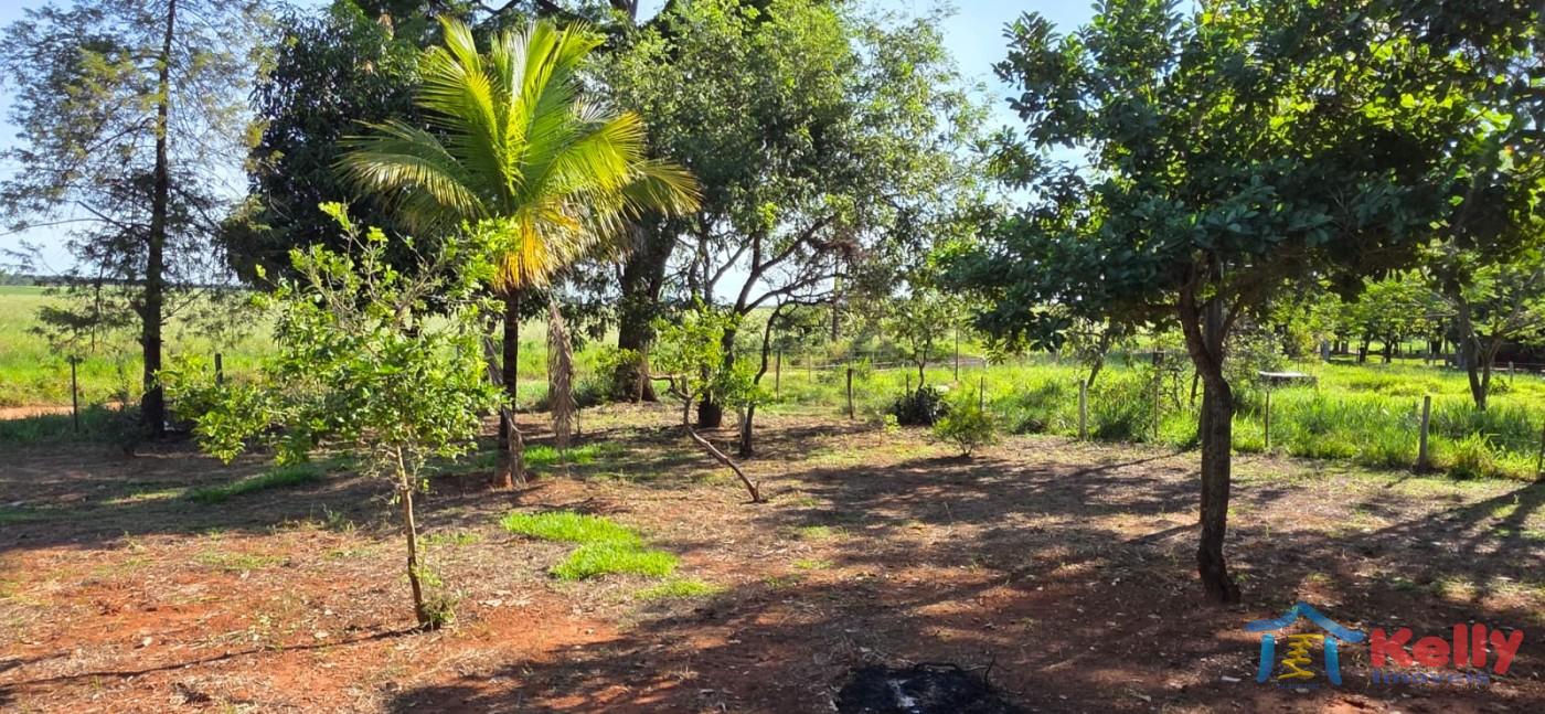 Chácara, 97 hectares - Foto 21
