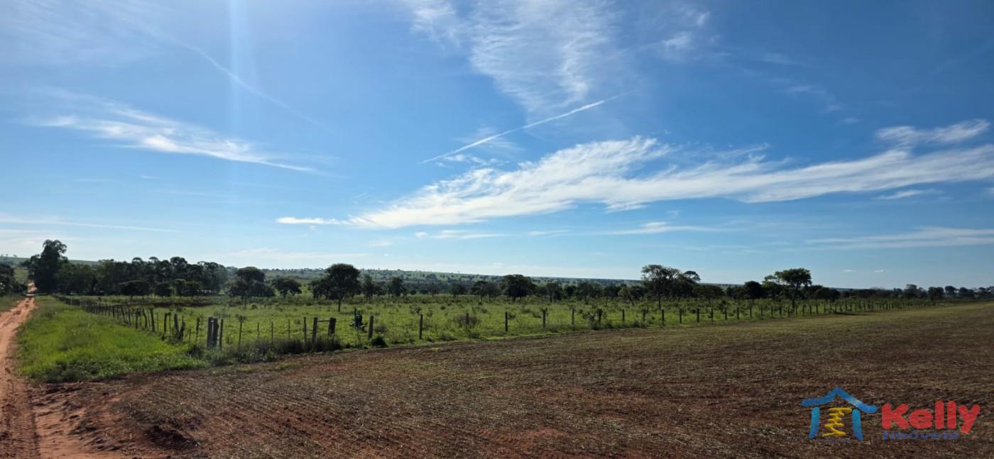 Chácara, 97 hectares - Foto 23