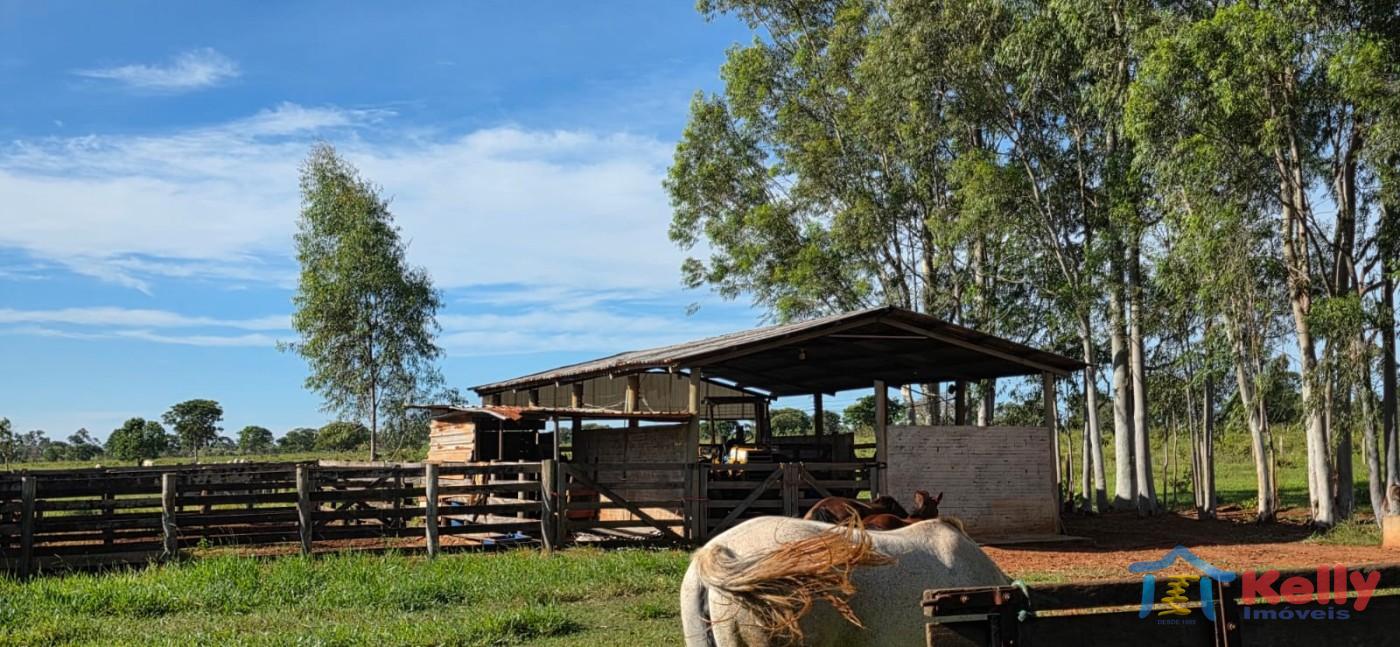 Chácara, 97 hectares - Foto 28
