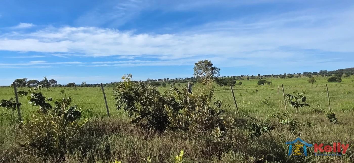 Chácara, 97 hectares - Foto 30