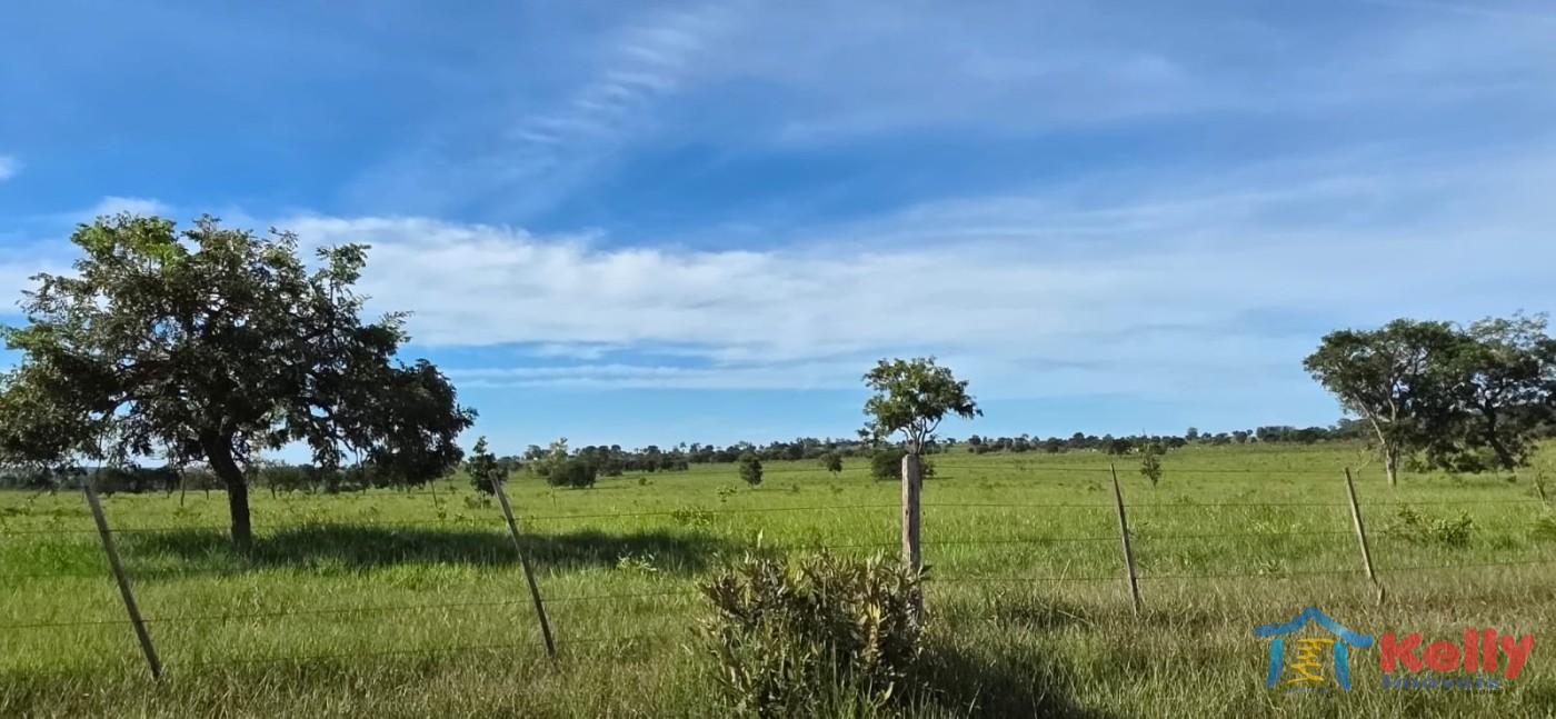 Chácara, 97 hectares - Foto 31