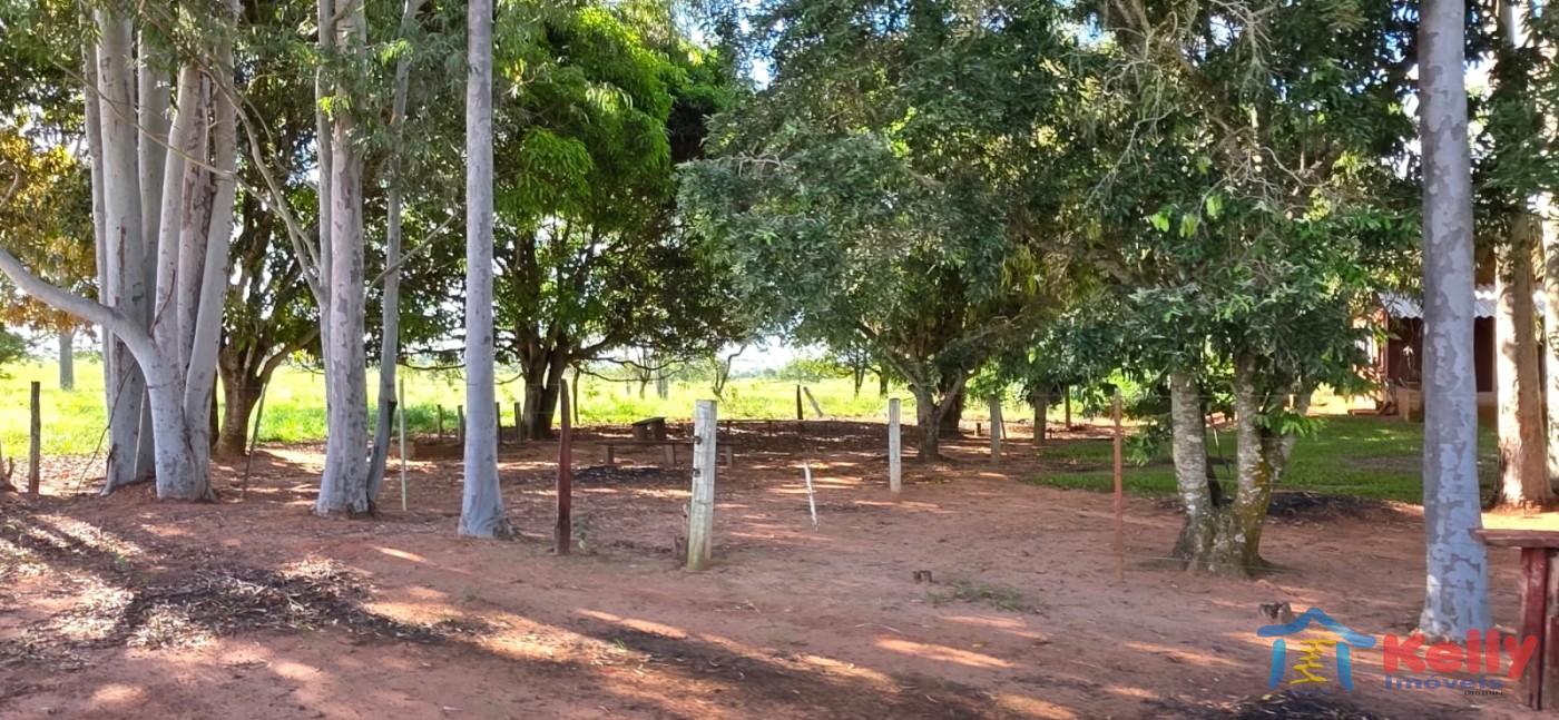 Chácara, 97 hectares - Foto 33