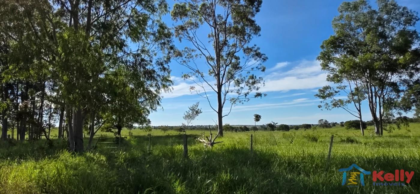 Chácara, 97 hectares - Foto 34
